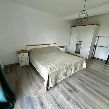Tampa Cozy Hideaway Будинок відпочинку Брашов